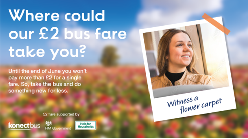 Spot a Flower Carpet when you travel out and about by bus 