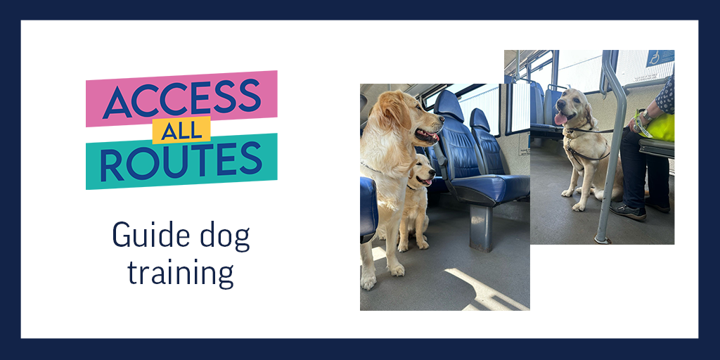 Guide Dog Training